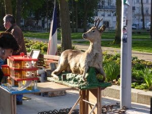 divine style french antiques taxidermy