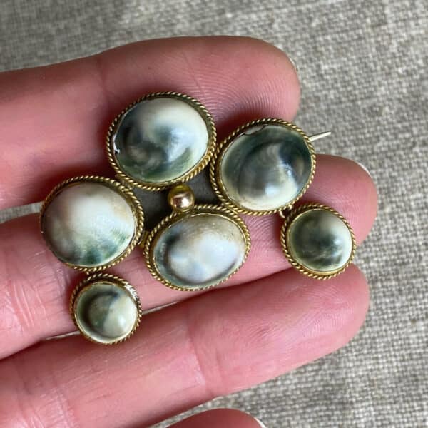 Victorian Operculum brooch, antique shell dangle brooch 1800s