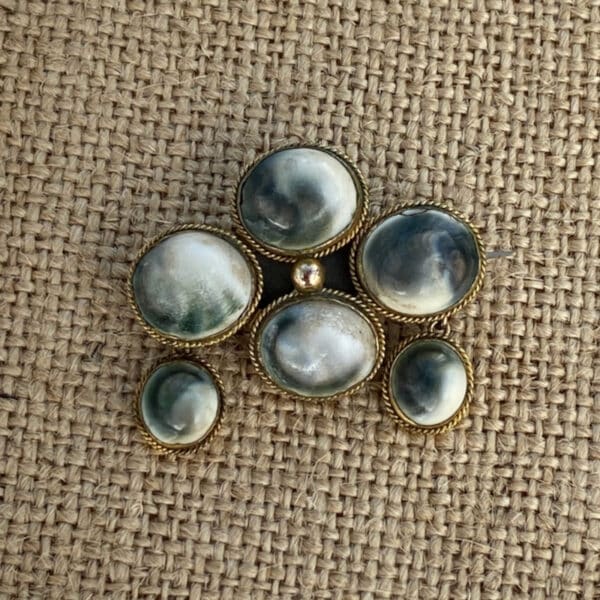 Victorian Operculum brooch, antique shell dangle brooch 1800s